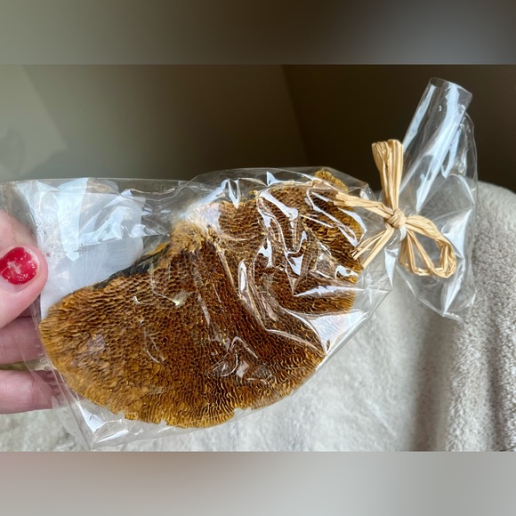 Home decor (NWT) animal & mushroom dried - Picture 7 of 11